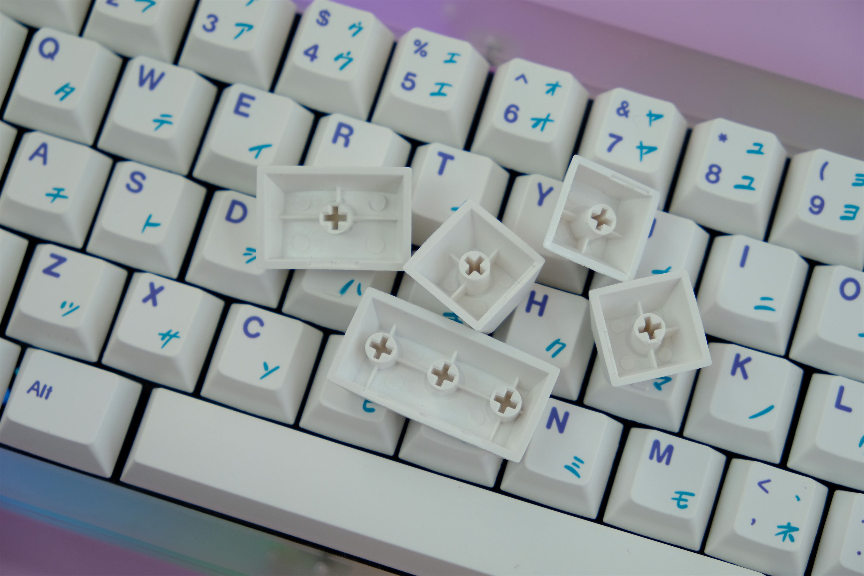 Inu Bear Keycaps