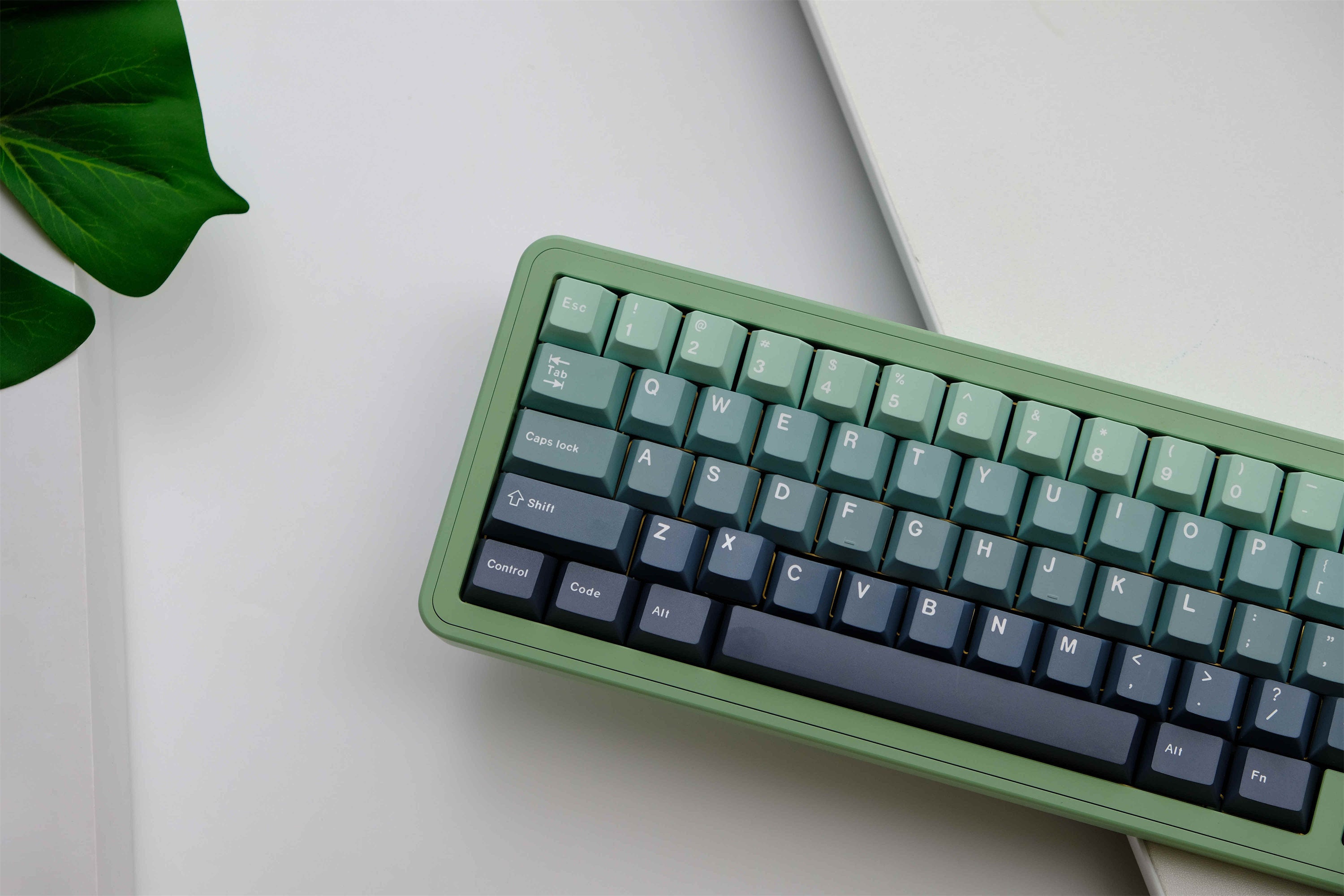 Gradient Botanical Garden PBT Keycaps