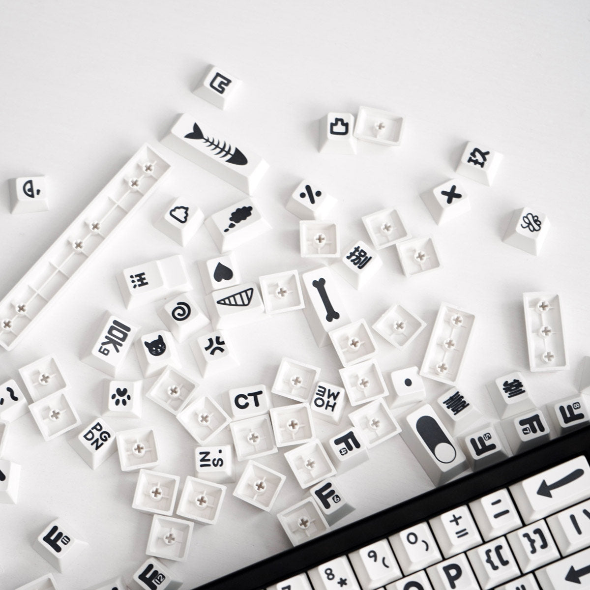 Party Animals Theme Large Font Keycaps - Diykeycap