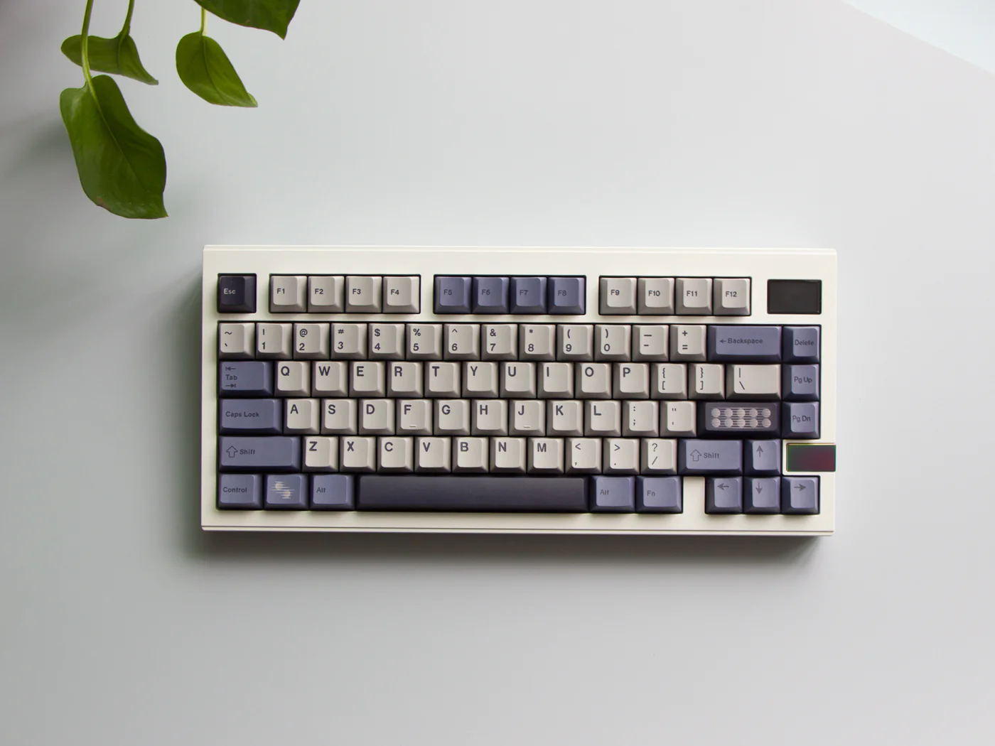 [Group Buy] FinalKey V81 Plus Keyboard Kit - Diykeycap