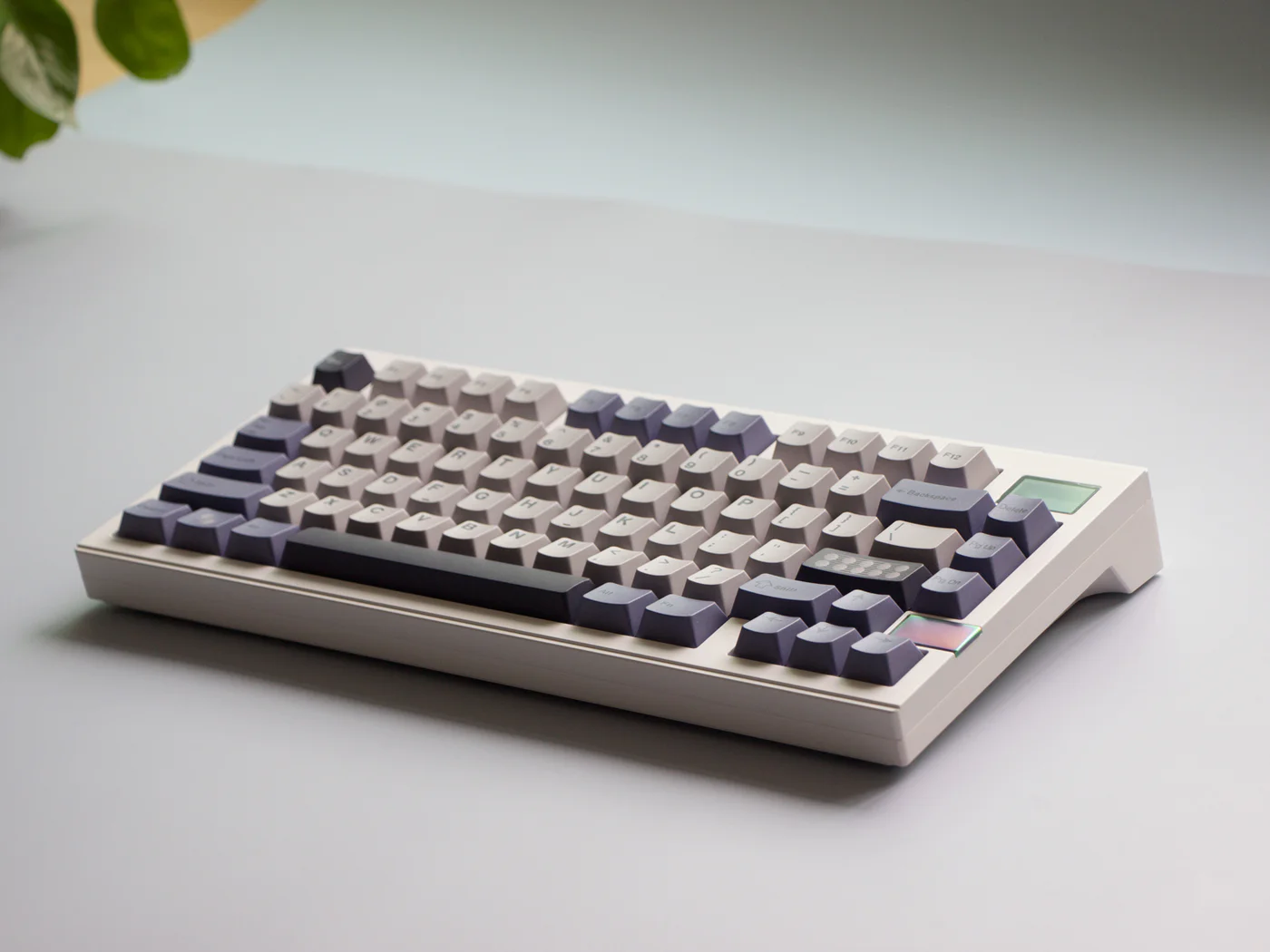 [Group Buy] FinalKey V81 Plus Keyboard Kit - Diykeycap