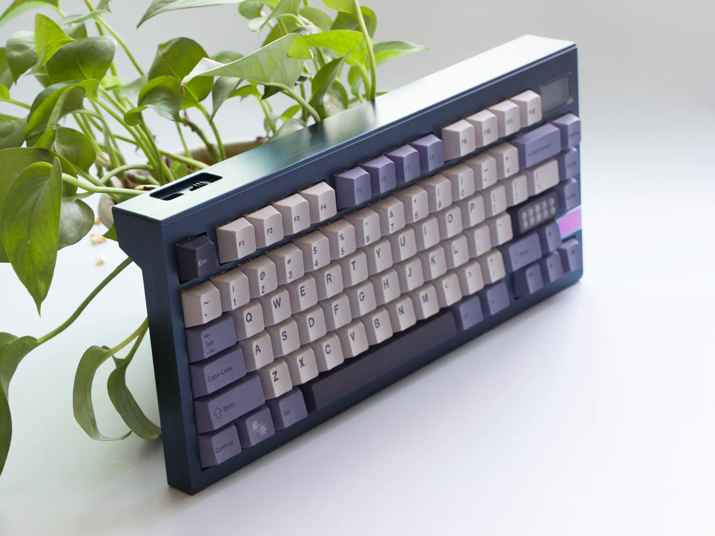 [Group Buy] FinalKey V81 Plus Keyboard Kit - Diykeycap