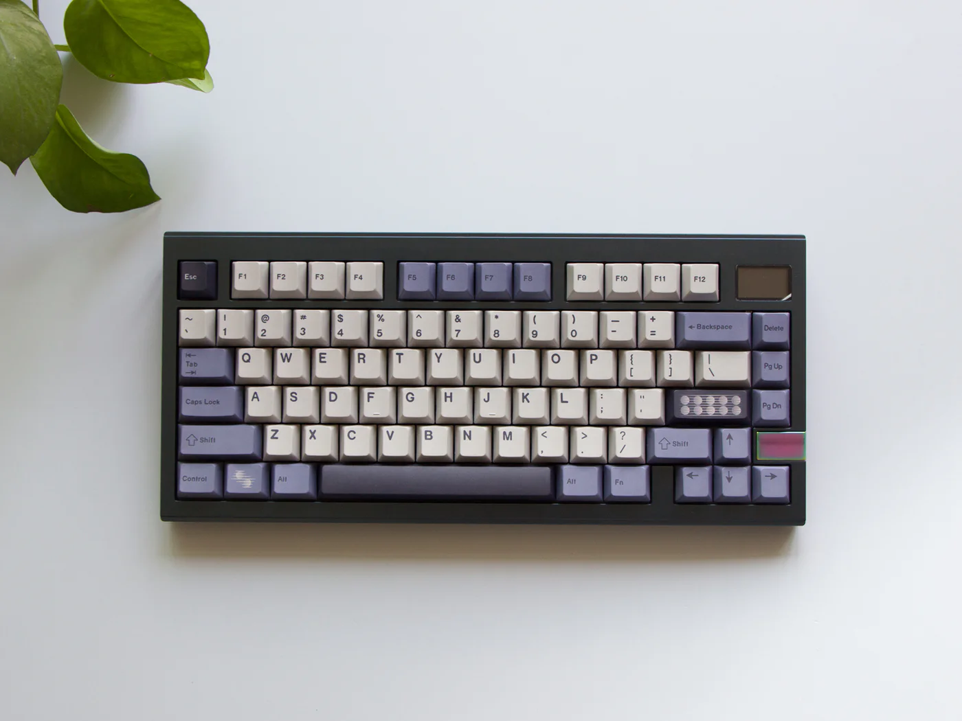 [Group Buy] FinalKey V81 Plus Keyboard Kit - Diykeycap