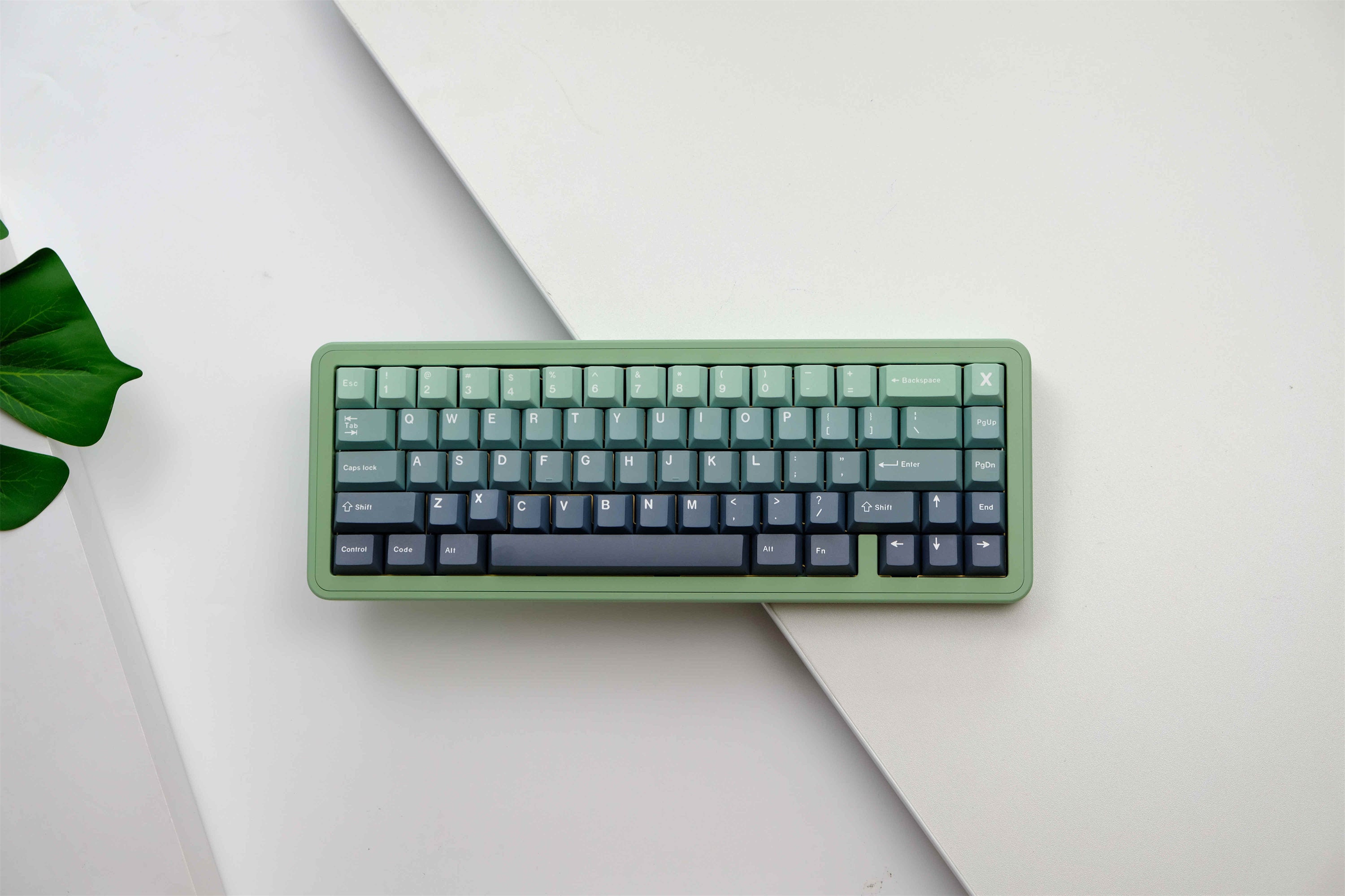 Gradient Botanical Garden PBT Keycaps