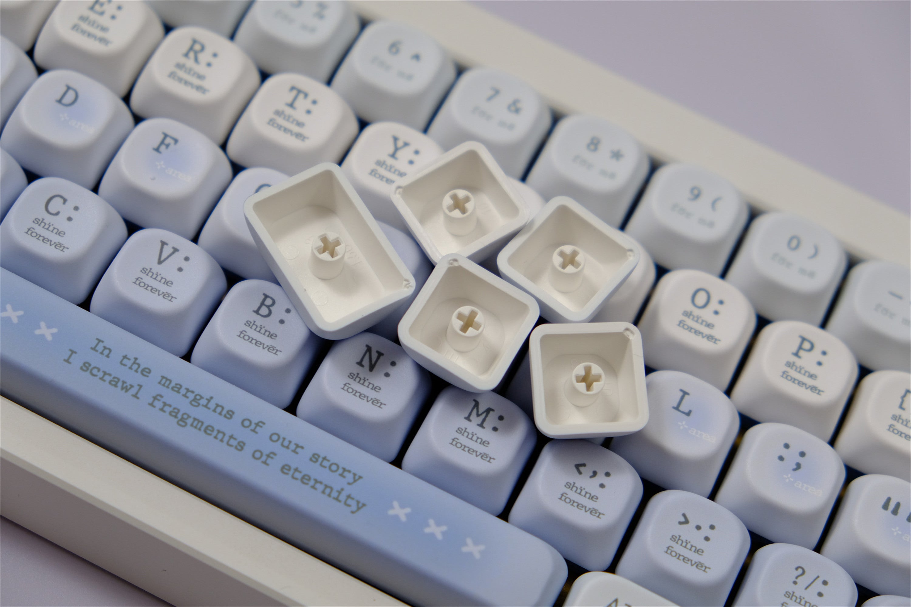 Tipsy Blue Rose Romantic Keycaps