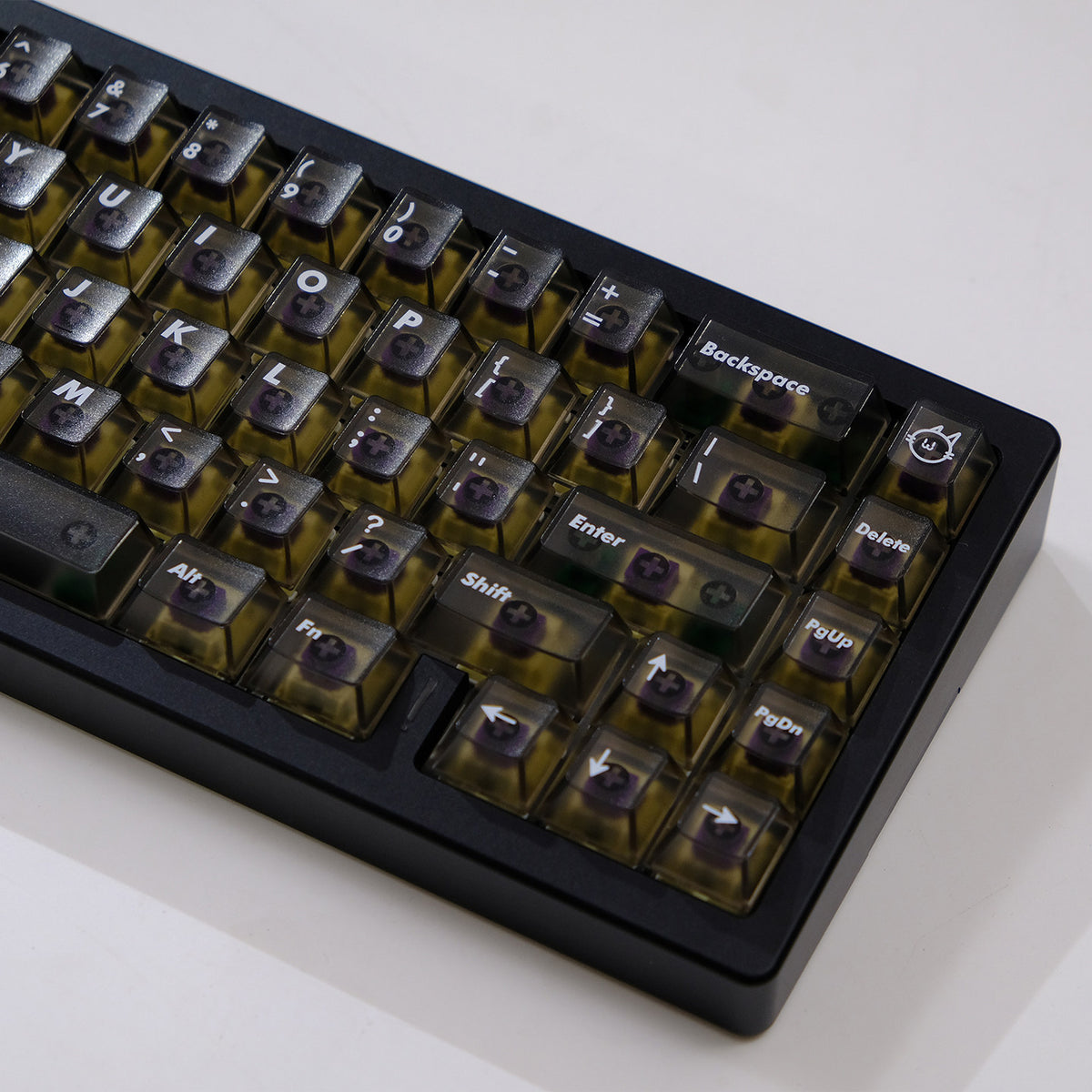 Expo Frosted Translucent keycaps - Diykeycap