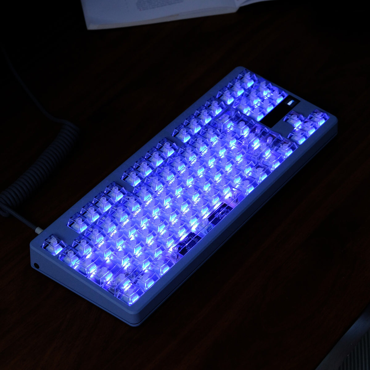 White Translucent PBT keycaps - Diykeycap