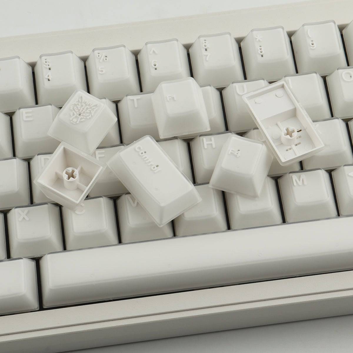 X-ray Keycaps - Diykeycap