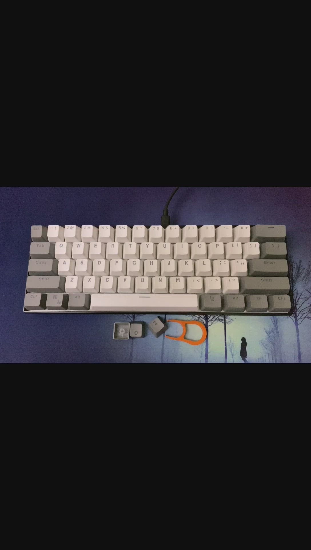 Gray and White Keycap Set