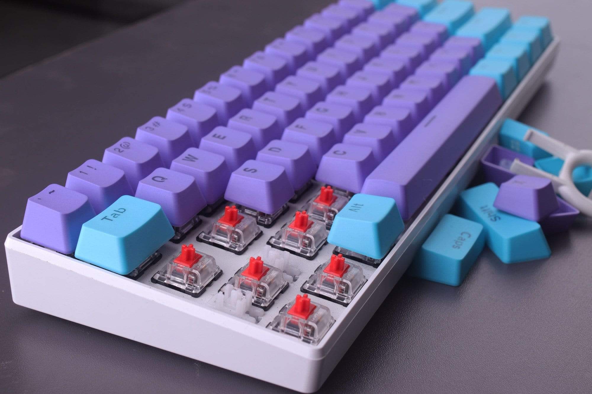 Purple&Blue with keycaps - Diykeycap